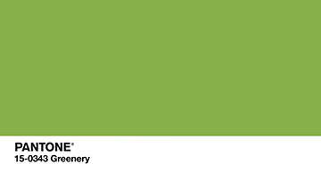 Pantone Color of the Year 2017 -Greenery