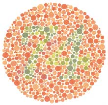 Color Vision Test Chart