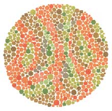 Color Vision Test Chart