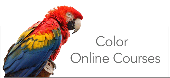 Learn color online