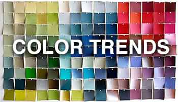 Trends Title Color