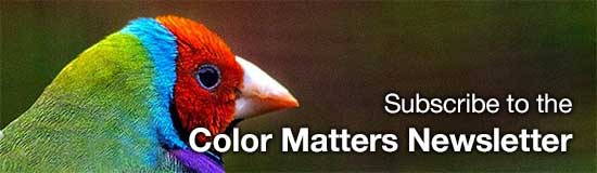 Color Matters newsletter