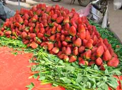 red berries